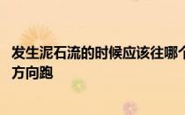 发生泥石流的时候应该往哪个方向跑 发生泥石流应该往哪个方向跑