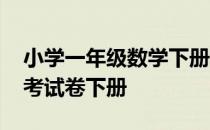 小学一年级数学下册试卷题 小学一年级数学考试卷下册