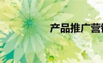 产品推广营销 产品推广