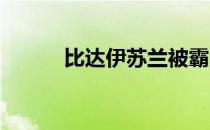 比达伊苏兰被霸王逼得俯首称臣
