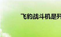 飞豹战斗机是歼几 飞豹战斗机