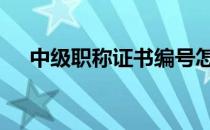 中级职称证书编号怎么查 中级职称证书