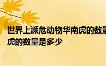 世界上濒危动物华南虎的数量是多少个 世界上濒危动物华南虎的数量是多少