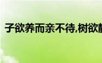 子欲养而亲不待,树欲静而风不止是什么意思