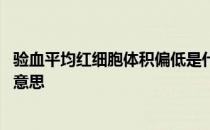 验血平均红细胞体积偏低是什么意思 红细胞体积偏低是什么意思