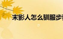 末影人怎么驯服步骤 末影人怎么驯服