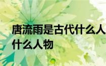 唐流雨是古代什么人物的作品 唐流雨是古代什么人物