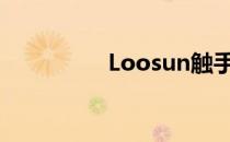 Loosun触手小游戏大全