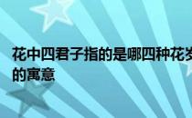花中四君子指的是哪四种花岁寒三友 花中四君子和岁寒三友的寓意