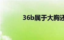 36b属于大胸还是平胸啊 36b