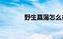 野生菖蒲怎么养 菖蒲怎么养