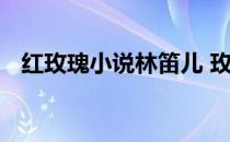 红玫瑰小说林笛儿 玫瑰系列之番外林笛儿
