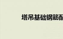 塔吊基础钢筋配筋图 塔吊基础