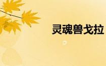 灵魂兽戈拉 灵魂兽加拉