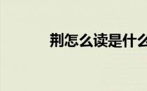 荆怎么读是什么意思 荆怎么读