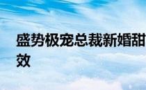 盛势极宠总裁新婚甜妻 首席盛宠萌妻离婚无效