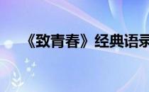《致青春》经典语录 求致青春经典语录