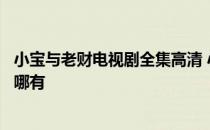 小宝与老财电视剧全集高清 小宝和老财电视剧全集播放地址哪有