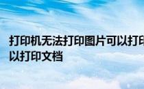 打印机无法打印图片可以打印文档嘛 打印机无法打印图片可以打印文档