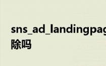 sns_ad_landingpages是什么文件夹可以删除吗