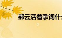 郝云活着歌词什么意思 郝云活着