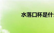 水落口杯是什么意思 水落口