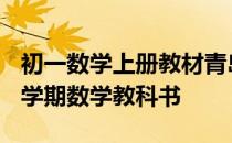 初一数学上册教材青岛版 2009青岛版初一上学期数学教科书