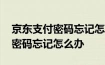 京东支付密码忘记怎么办苹果手机 京东支付密码忘记怎么办