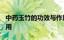 中药玉竹的功效与作用? 中药玉竹的功效与作用