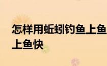 怎样用蚯蚓钓鱼上鱼快视频 怎样用蚯蚓钓鱼上鱼快