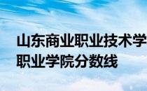 山东商业职业技术学院高考分数线 山东商业职业学院分数线