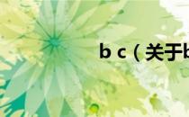 b c（关于b c的介绍）