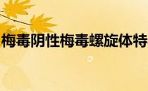 梅毒阴性梅毒螺旋体特异抗体阳性是什么意思