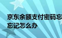 京东余额支付密码忘了怎么办 京东支付密码忘记怎么办
