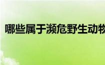 哪些属于濒危野生动物 什么是濒危野生动物
