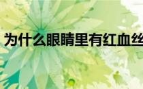 为什么眼睛里有红血丝（眼睛有血丝怎么办）