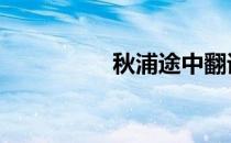 秋浦途中翻译 秋浦途中