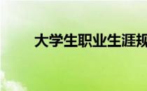 大学生职业生涯规划书4000字范文