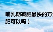 哺乳期减肥最快的方法5天瘦十斤（哺乳期减肥可以吗）