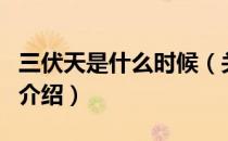 三伏天是什么时候（关于三伏天是什么时候的介绍）
