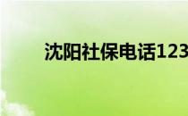沈阳社保电话12333 沈阳社保电话