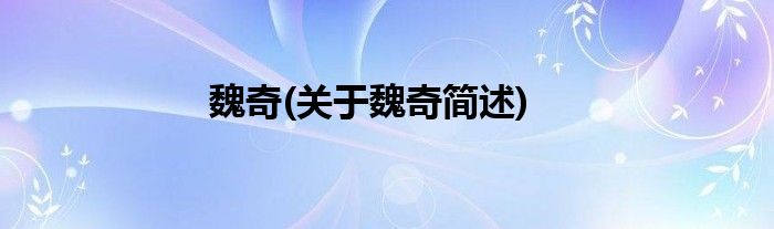 魏奇(关于魏奇简述)