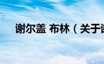谢尔盖 布林（关于谢尔盖 布林的介绍）