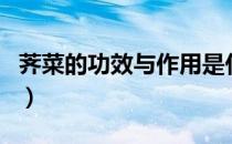 荠菜的功效与作用是什么（荠菜的功效与作用）