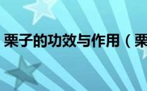 栗子的功效与作用（栗子的营养价值及选购）