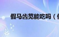 假马齿苋能吃吗（假马齿苋的副作用）