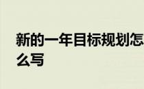 新的一年目标规划怎么写 新一年工作规划怎么写