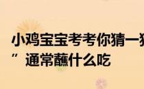 小鸡宝宝考考你猜一猜：老北京小吃“炸灌肠”通常蘸什么吃