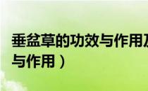 垂盆草的功效与作用及副作用（垂盆草的功效与作用）
