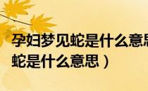 孕妇梦见蛇是什么意思有什么预兆（孕妇梦见蛇是什么意思）